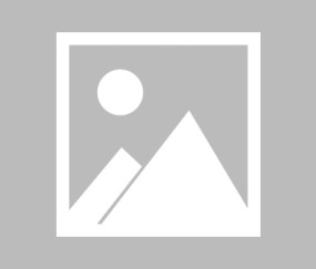 ewc电竞世界杯官网-【法甲】里尔vs朗斯首发阵容名单(2025年03月31日)